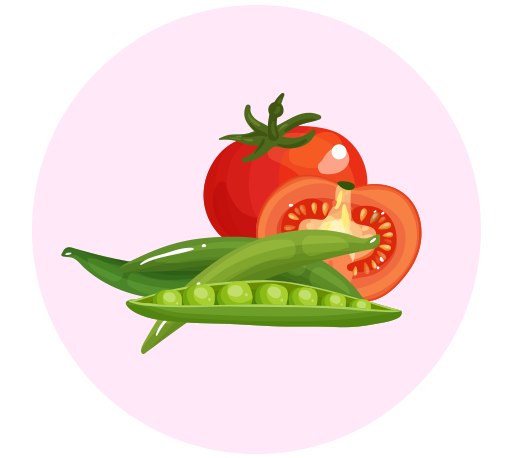 Légumineuses