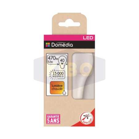 Ampoule Led standard dépoli 40W E27