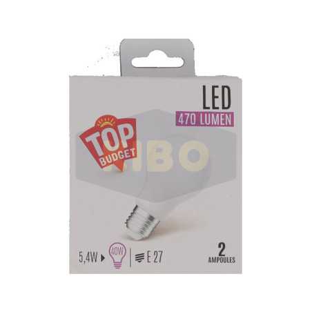 Ampoule Led standard dépoli 40W E27x2
