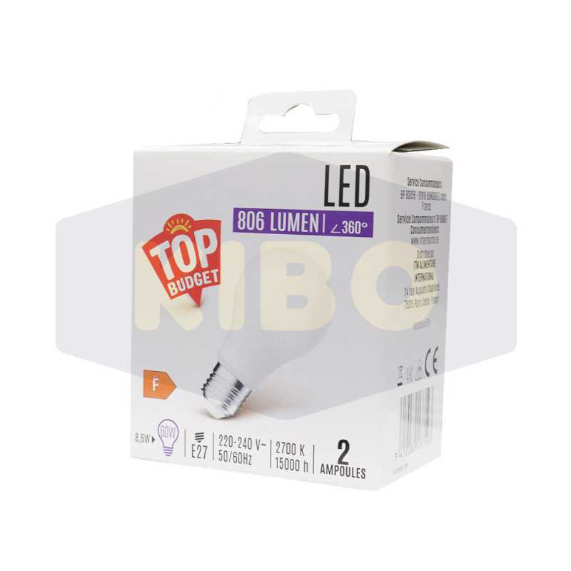 Ampoule Led standard dépoli 60W E27x2