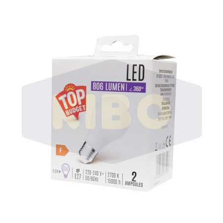 Ampoule Led standard dépoli 60W E27x2