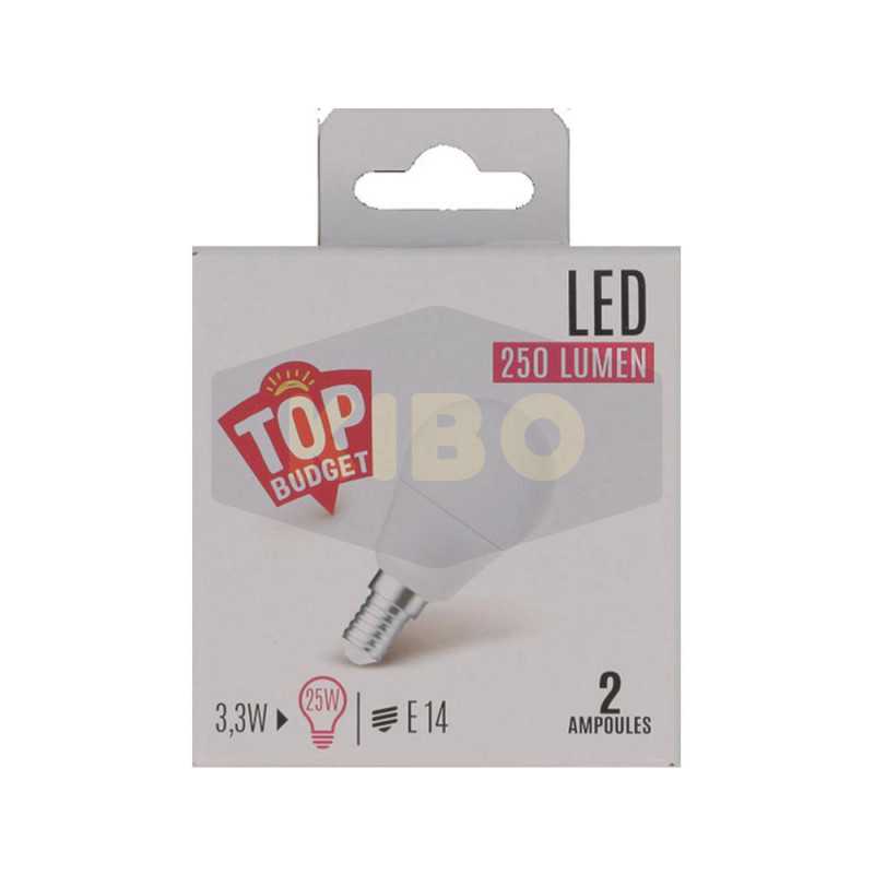 Ampoule Led sphere dépoli 25W E14x2