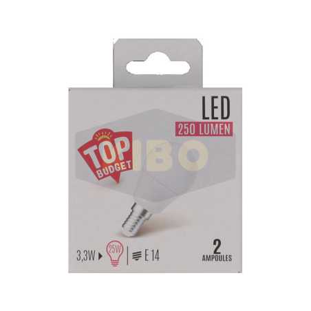 Ampoule Led sphere dépoli 25W E14x2