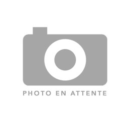 Bonbons tropical mix 100g