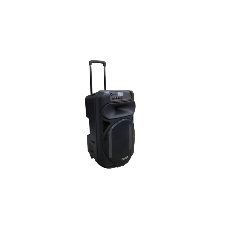 Enceinte 15" avec Microphone sans fil 80W TTS-15D TRUST - TRUST