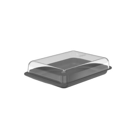 Ou - Boîte de Stockage pour Frigo Break - Boîte à Charcuterie avec Couvercle en Plastique Transparent - 19 x 13 x 4