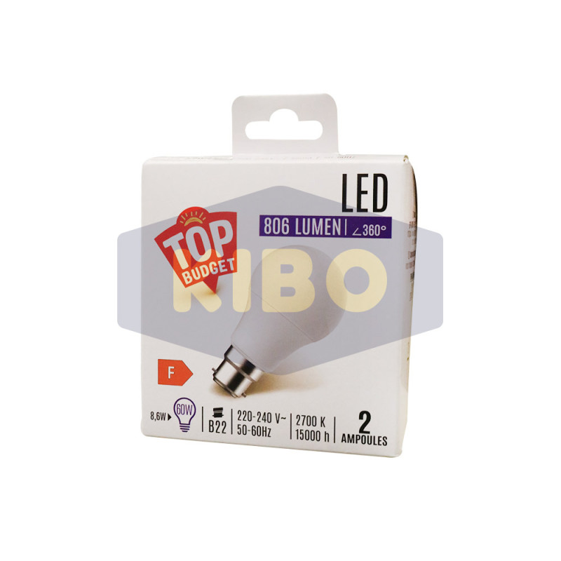 Ampoule led B22 standard 60W x2