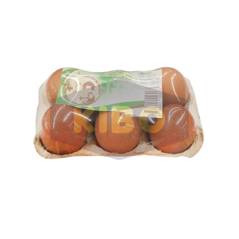 Œuf pack de 6