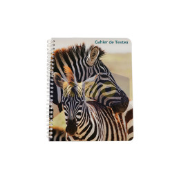 Cahier de texte thème...