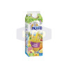 Nectar multifruits en brique 2L